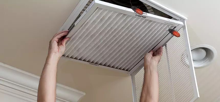 Preventive Cockroach-Proofing for Ducts in Willmar