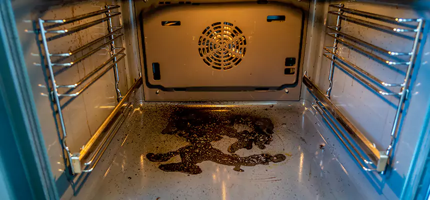 Our Dryer Vent Mold Cleaning Services in Willmar, MN