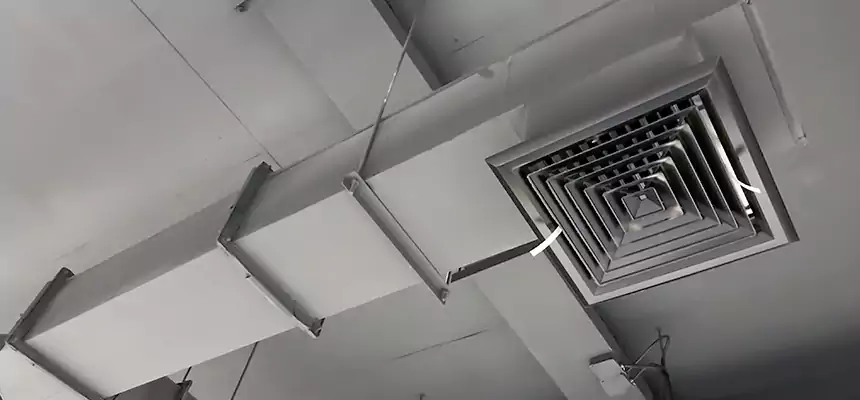 Our Rodent Droppings In Vents Services in Willmar, MN