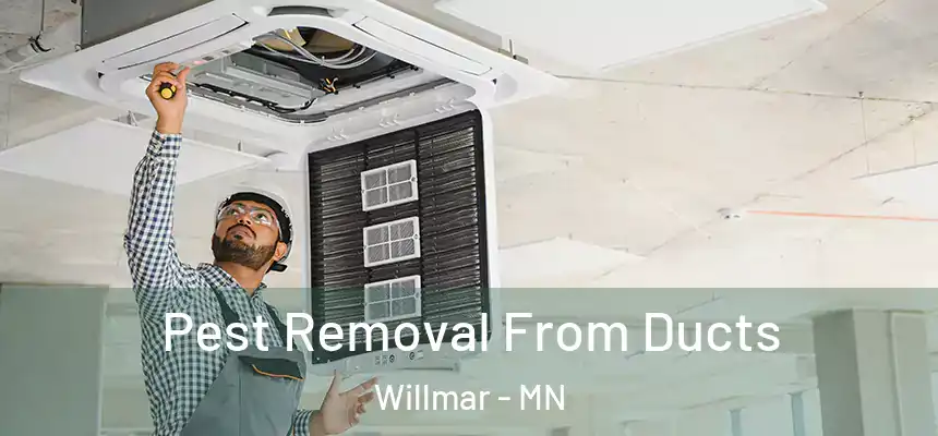  Pest Removal From Ducts Willmar - MN
