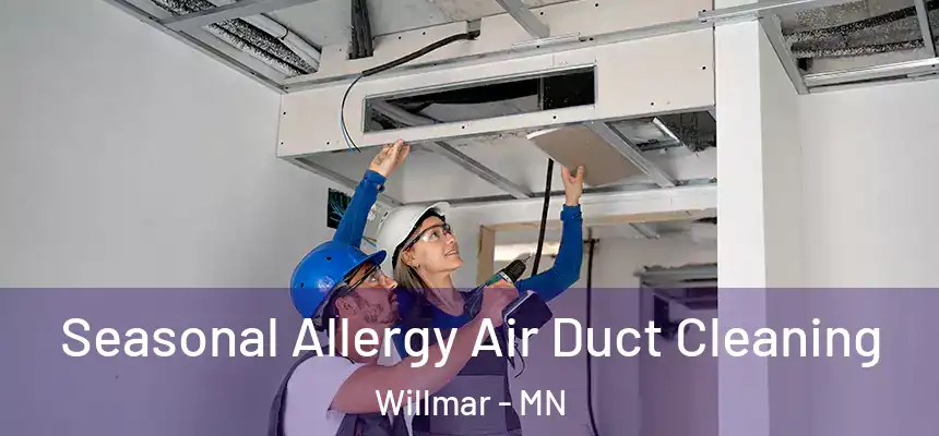  Seasonal Allergy Air Duct Cleaning Willmar - MN