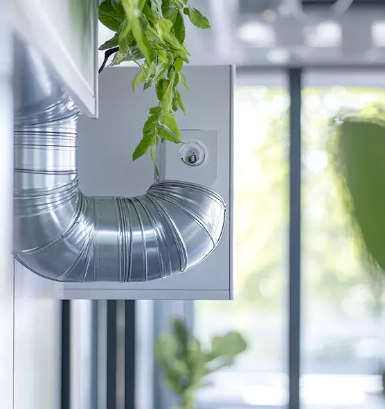 Professional Eco-Safe Dryer Vent Cleaning in Willmar, MN