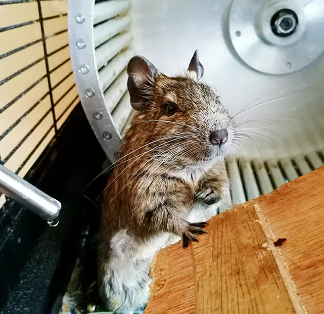 Why Homeowners & Businesses Trust Us Willmar, MN